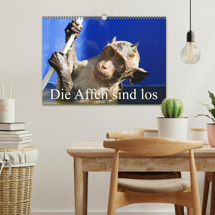 Die Affen sind los (CALVENDO Wandkalender 2026)