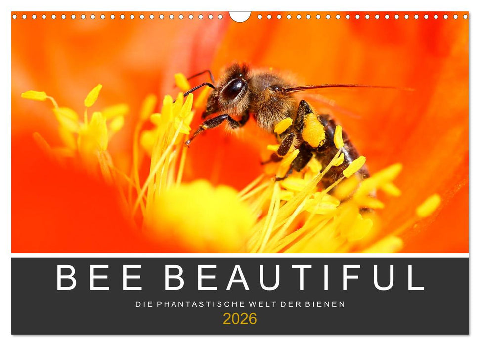 Bee Beautiful - Die phantastische Welt der Bienen (CALVENDO Wandkalender 2026)