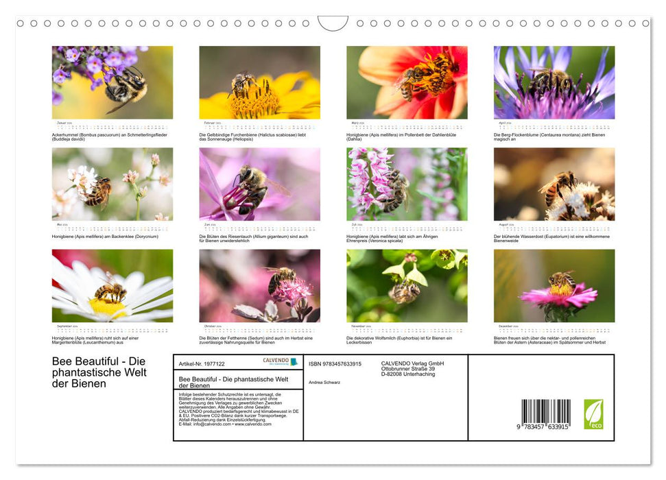 Bee Beautiful - Die phantastische Welt der Bienen (CALVENDO Wandkalender 2026)
