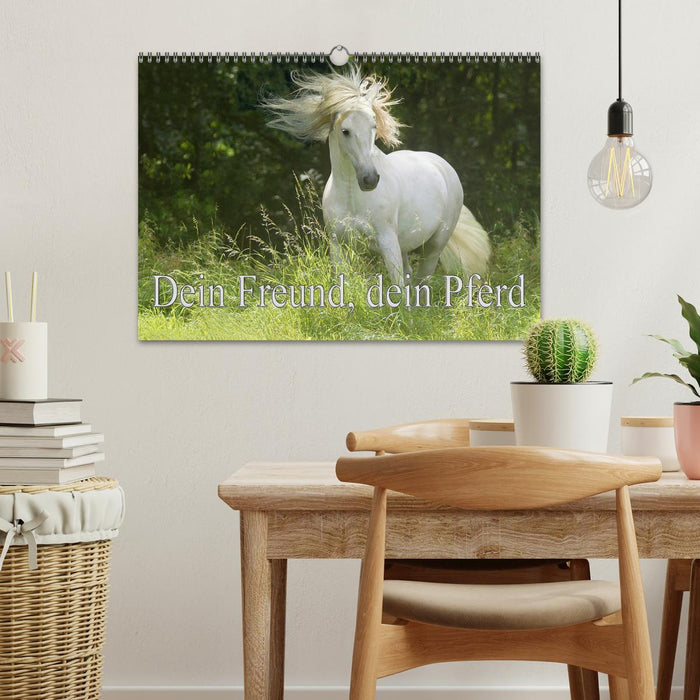 Dein Freund, dein Pferd (CALVENDO Wandkalender 2026)