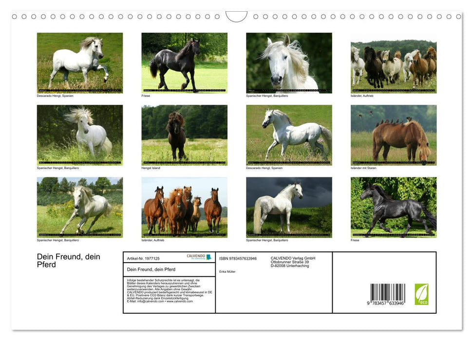 Dein Freund, dein Pferd (CALVENDO Wandkalender 2026)