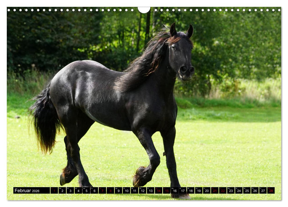 Dein Freund, dein Pferd (CALVENDO Wandkalender 2026)