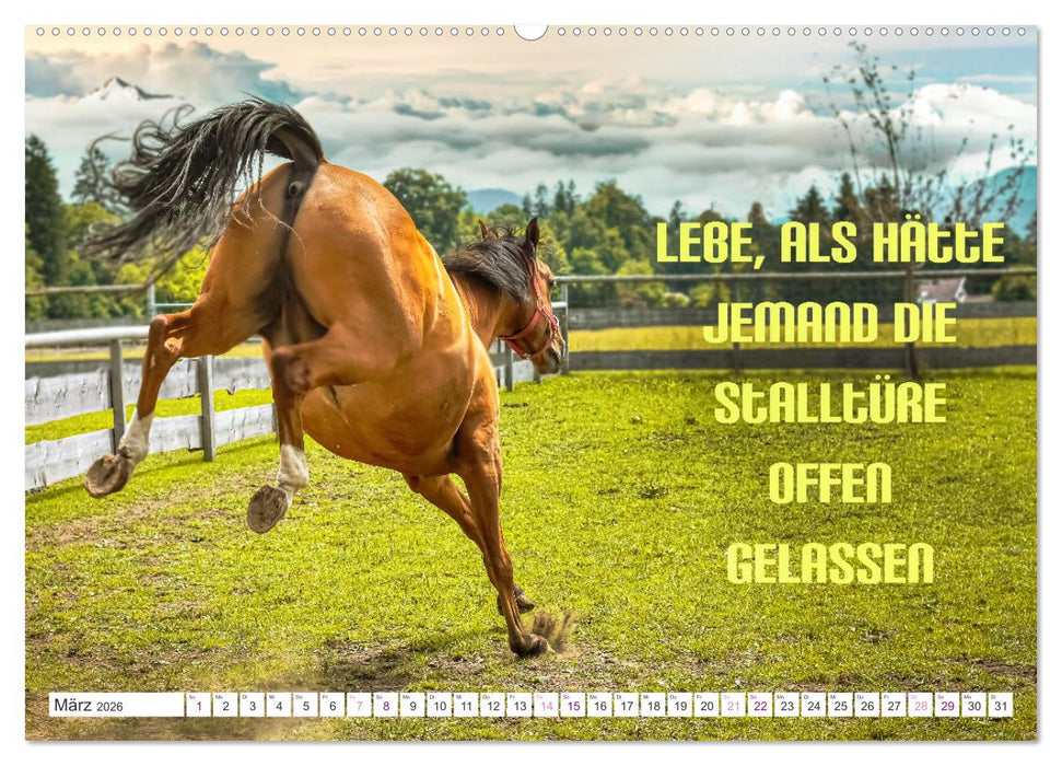 Heute schon Prinzen geküsst? Spruchkalender (CALVENDO Wandkalender 2026)