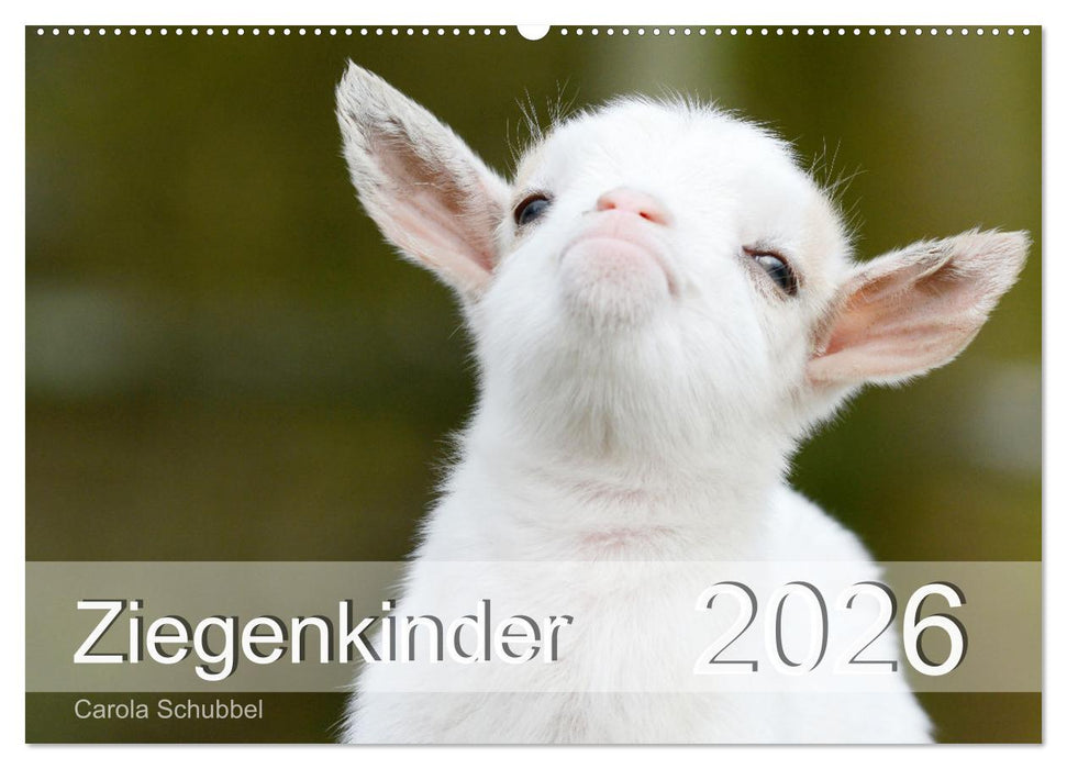 Ziegenkinder (CALVENDO Wandkalender 2026)