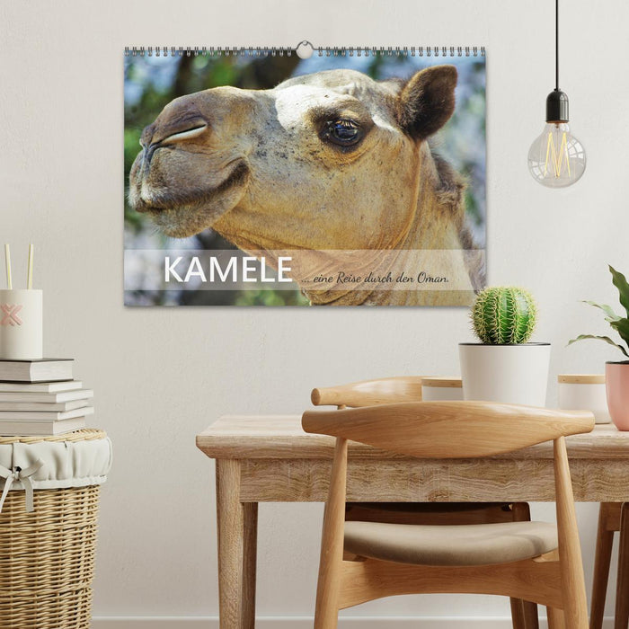 KAMELE... eine Reise durch den Oman. (CALVENDO Wandkalender 2026)