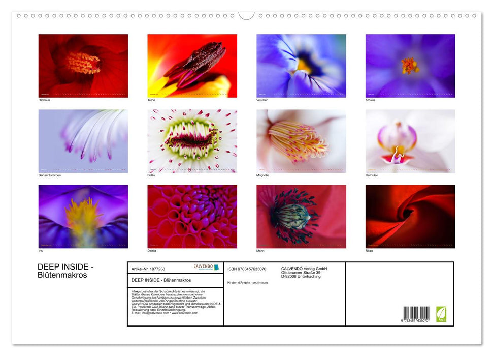 DEEP INSIDE - Blütenmakros (CALVENDO Wandkalender 2026)