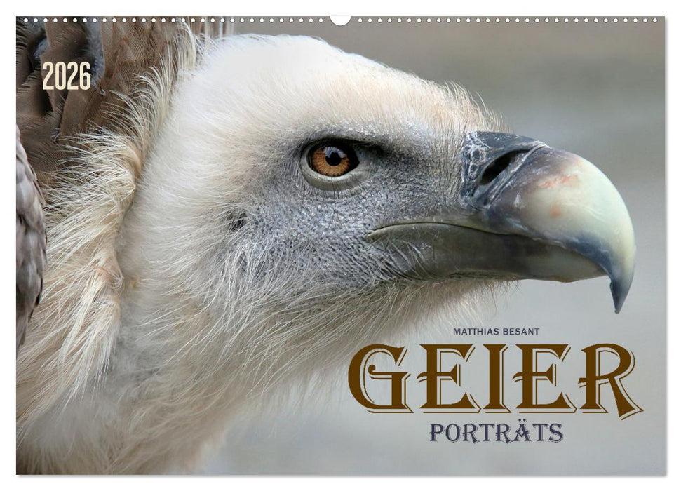 GEIERPORTRÄTS (CALVENDO Wandkalender 2026)