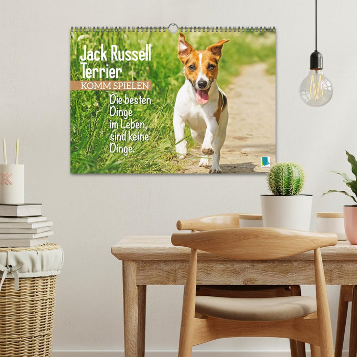 Jack Russell Terrier: Komm spielen (CALVENDO Wandkalender 2026)