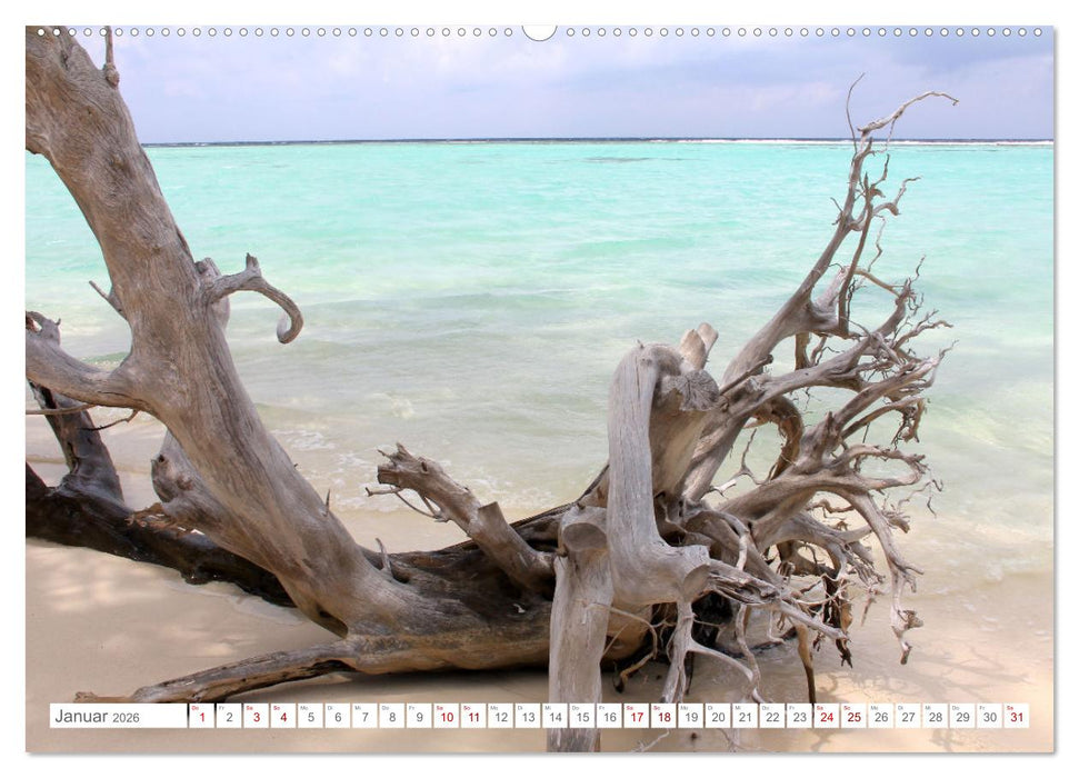 Indonesien pur und schön (CALVENDO Wandkalender 2026)