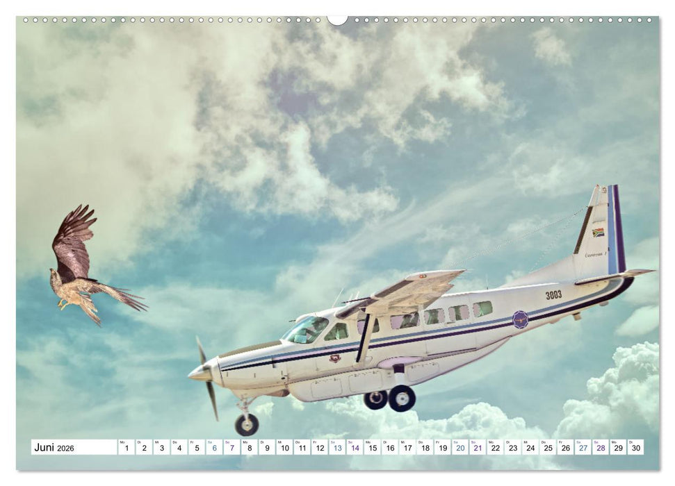 Fliegen, Fliegen - humorvolle Montagen (CALVENDO Wandkalender 2026)