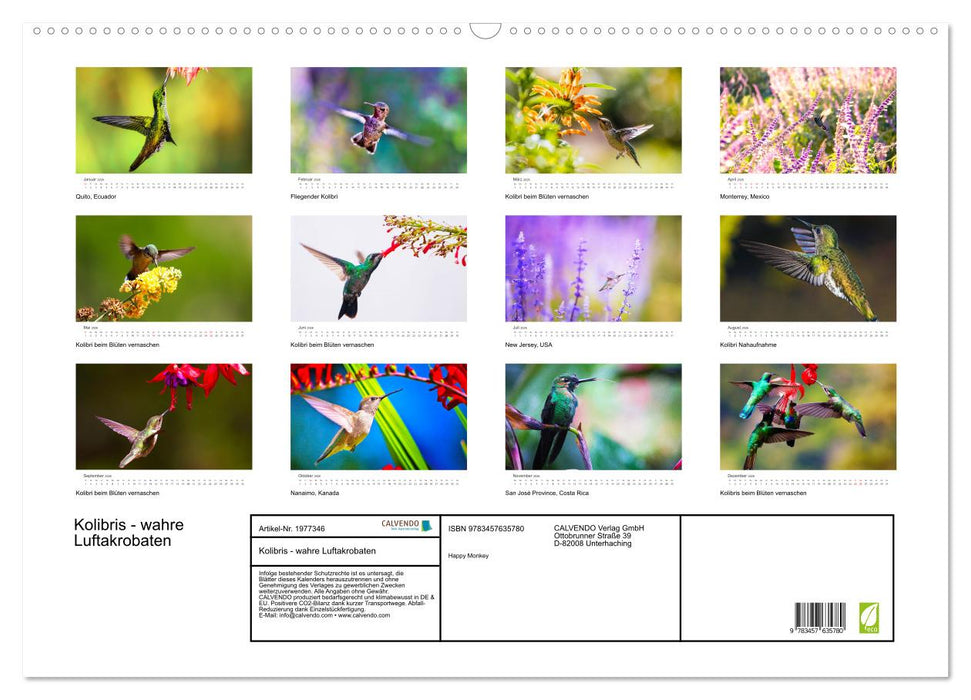 Kolibris - wahre Luftakrobaten (CALVENDO Wandkalender 2026)
