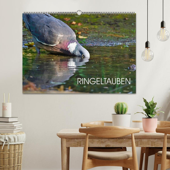 Ringeltauben (CALVENDO Wandkalender 2026)