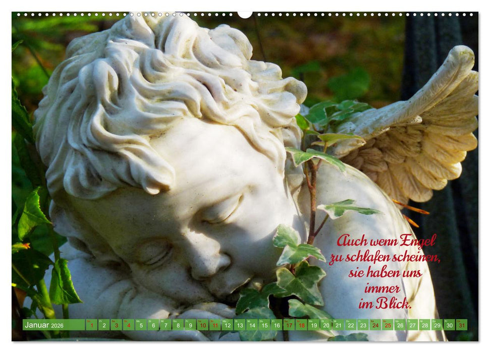Geborgen unter Engelsflügeln (CALVENDO Premium Wandkalender 2026)