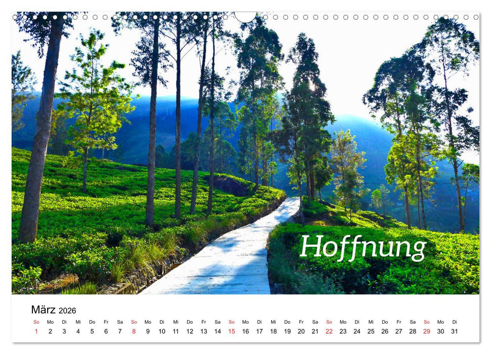 Ich wünsche Dir ... Wünsche für das neue Jahr (CALVENDO Wandkalender 2026)