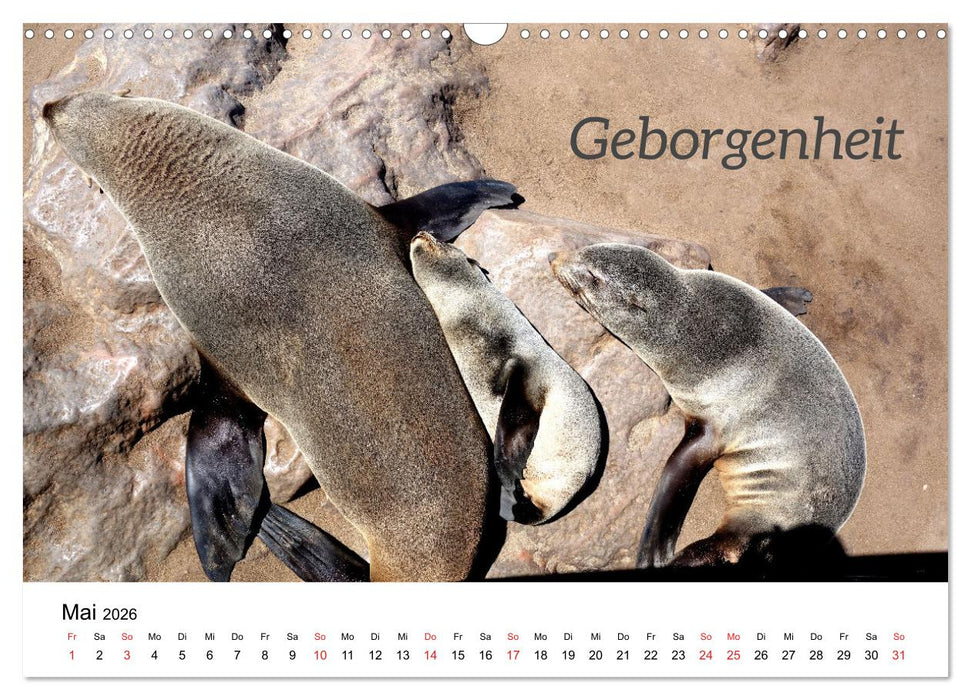 Ich wünsche Dir ... Wünsche für das neue Jahr (CALVENDO Wandkalender 2026)