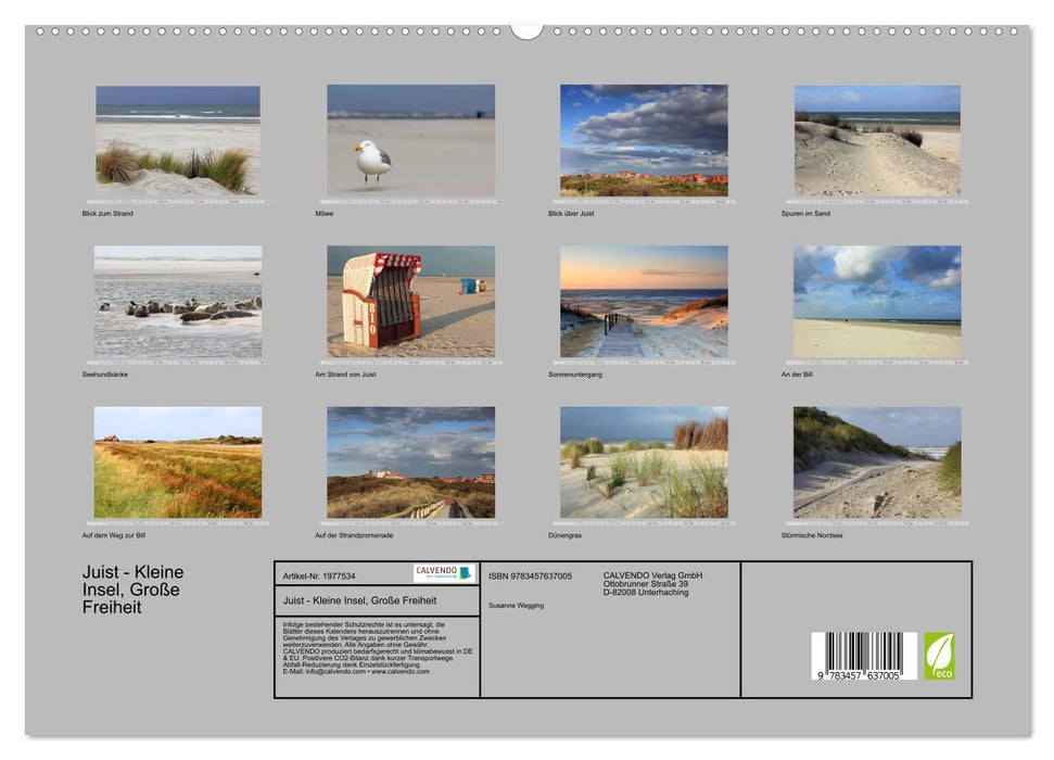 Juist - Kleine Insel, Große Freiheit (CALVENDO Wandkalender 2026)