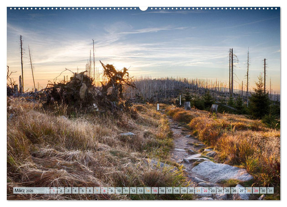 Bayer-Woid-Buidl (CALVENDO Wandkalender 2026)