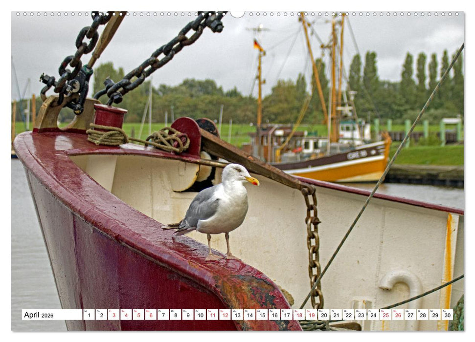 GREETSIEL - Schafe - Krabbenkutter - Möwen (CALVENDO Wandkalender 2026)