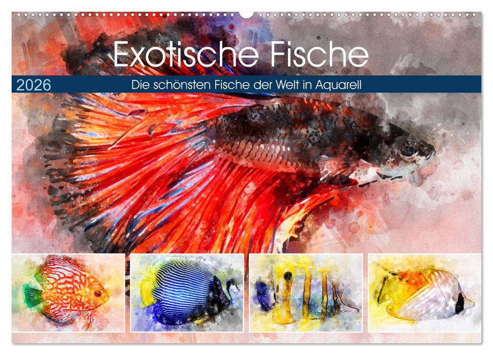 Exotische Fische - Die schönsten Fische der Welt in Aquarell (CALVENDO Wandkalender 2026)