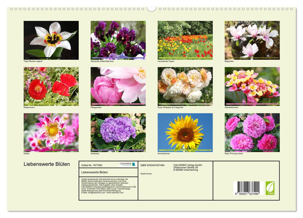 Liebenswerte Blüten (CALVENDO Premium Wandkalender 2026)