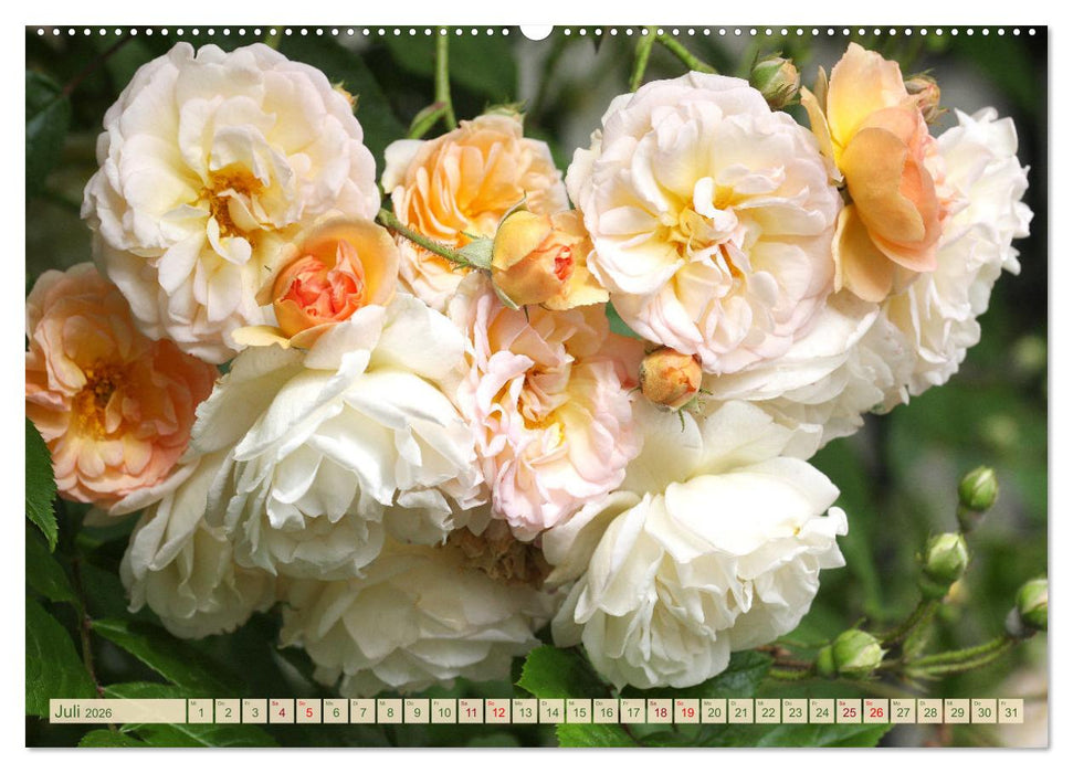 Liebenswerte Blüten (CALVENDO Premium Wandkalender 2026)