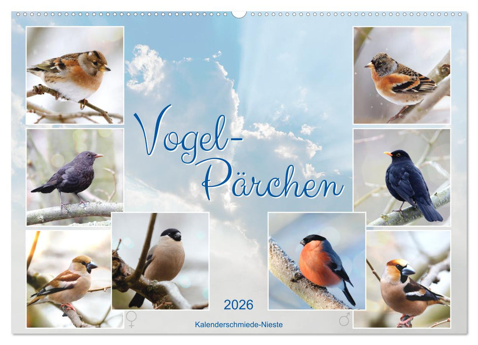 Vogel-Pärchen (CALVENDO Wandkalender 2026)