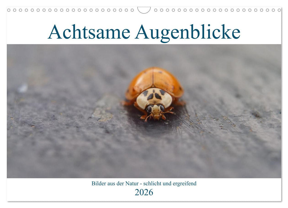 Achtsame Augenblicke (CALVENDO Wandkalender 2026)