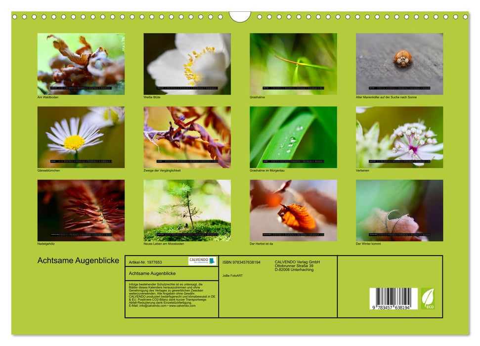 Achtsame Augenblicke (CALVENDO Wandkalender 2026)