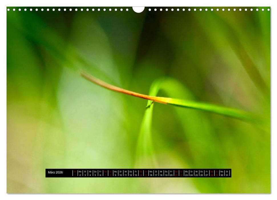 Achtsame Augenblicke (CALVENDO Wandkalender 2026)