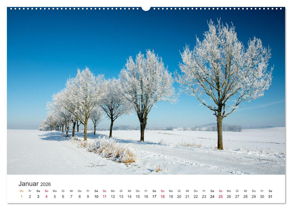 Faszination Natur - Bilder aus Mecklenburg-Vorpommern (CALVENDO Wandkalender 2026)