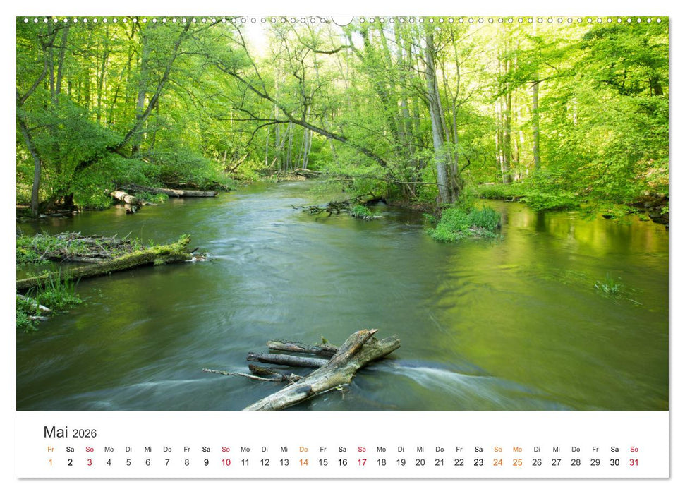Faszination Natur - Bilder aus Mecklenburg-Vorpommern (CALVENDO Wandkalender 2026)