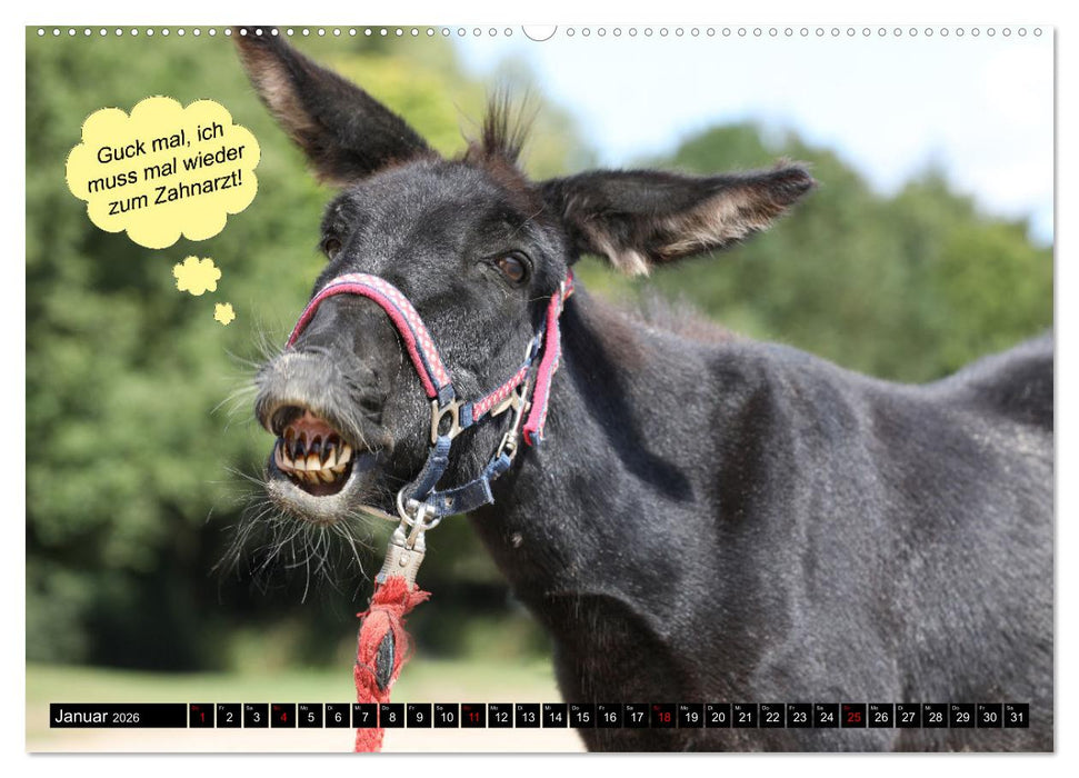 Wenn Tiere sprechen könnten! Der lustige Sprüche Kalender (CALVENDO Wandkalender 2026)