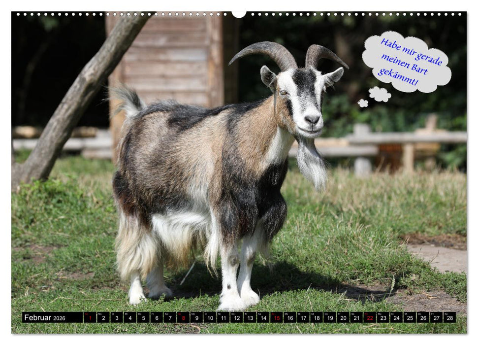 Wenn Tiere sprechen könnten! Der lustige Sprüche Kalender (CALVENDO Wandkalender 2026)