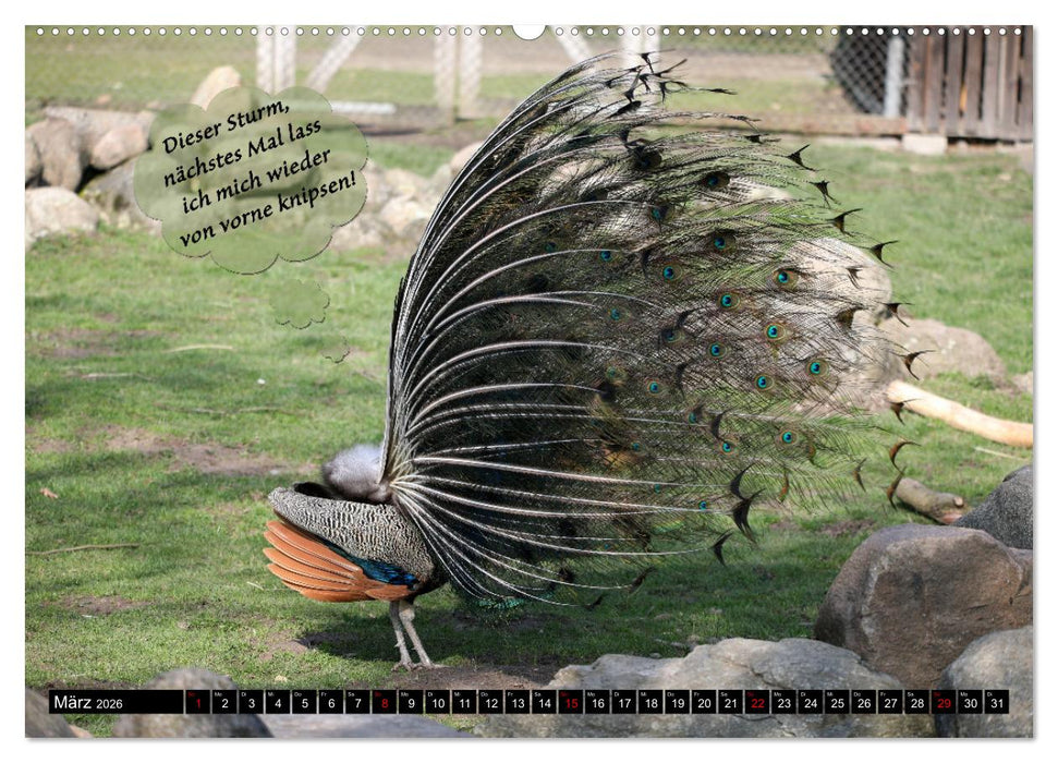 Wenn Tiere sprechen könnten! Der lustige Sprüche Kalender (CALVENDO Wandkalender 2026)