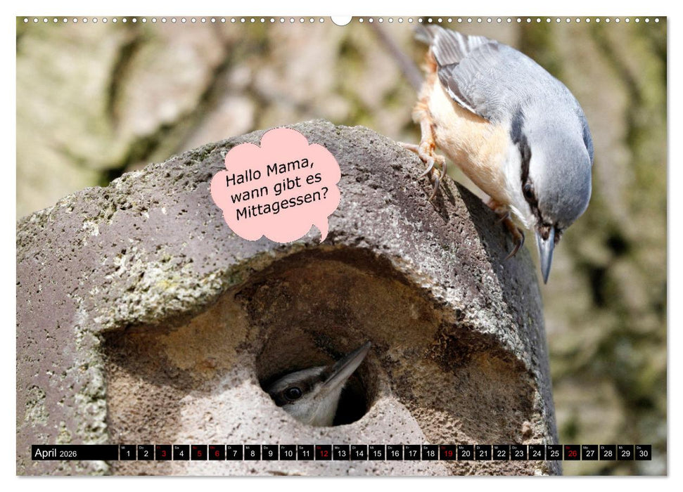 Wenn Tiere sprechen könnten! Der lustige Sprüche Kalender (CALVENDO Wandkalender 2026)