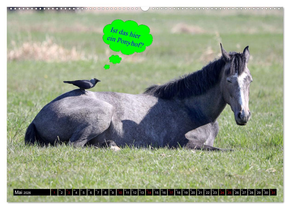 Wenn Tiere sprechen könnten! Der lustige Sprüche Kalender (CALVENDO Wandkalender 2026)