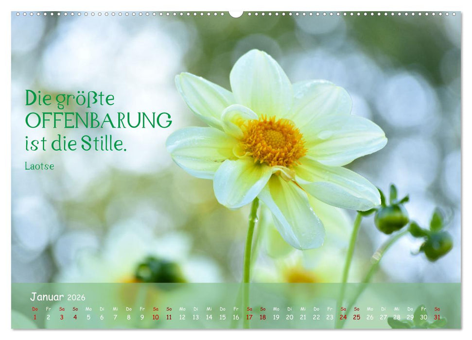 Blütenweisheiten (CALVENDO Wandkalender 2026)