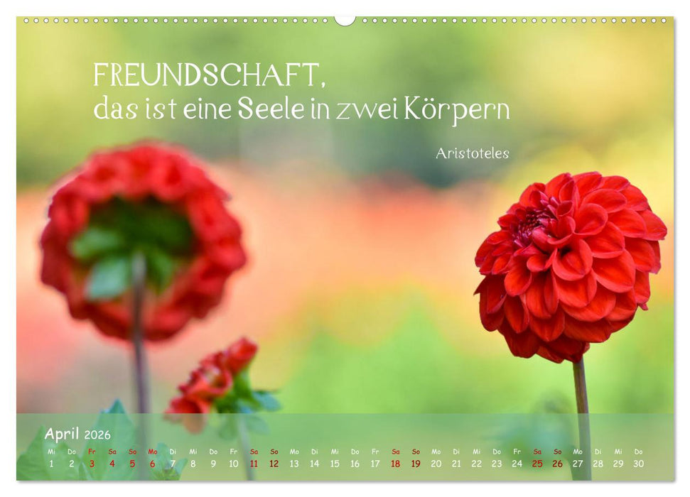 Blütenweisheiten (CALVENDO Wandkalender 2026)