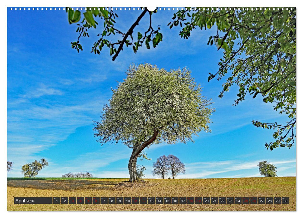 Karlsruhes Osten (CALVENDO Wandkalender 2026)