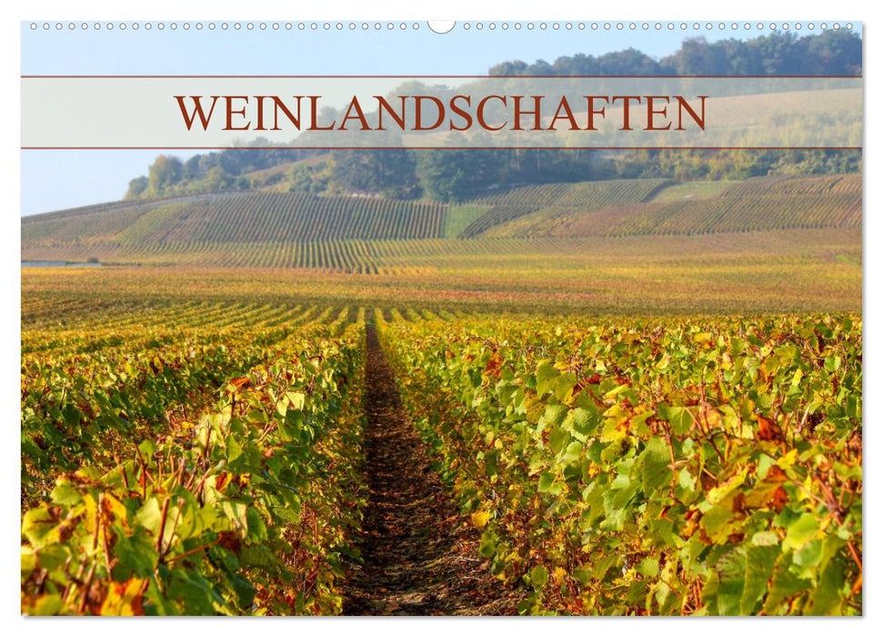 Weinlandschaften (CALVENDO Wandkalender 2026)