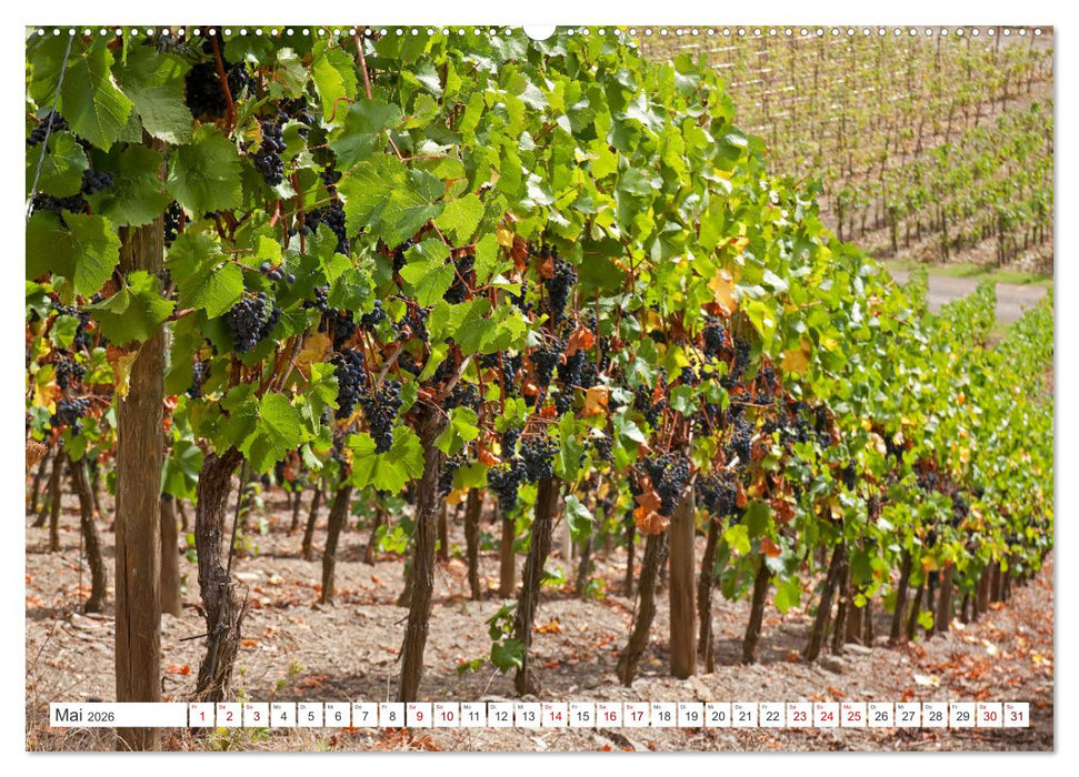 Weinlandschaften (CALVENDO Wandkalender 2026)