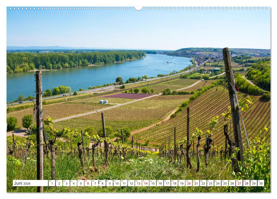 Weinlandschaften (CALVENDO Wandkalender 2026)