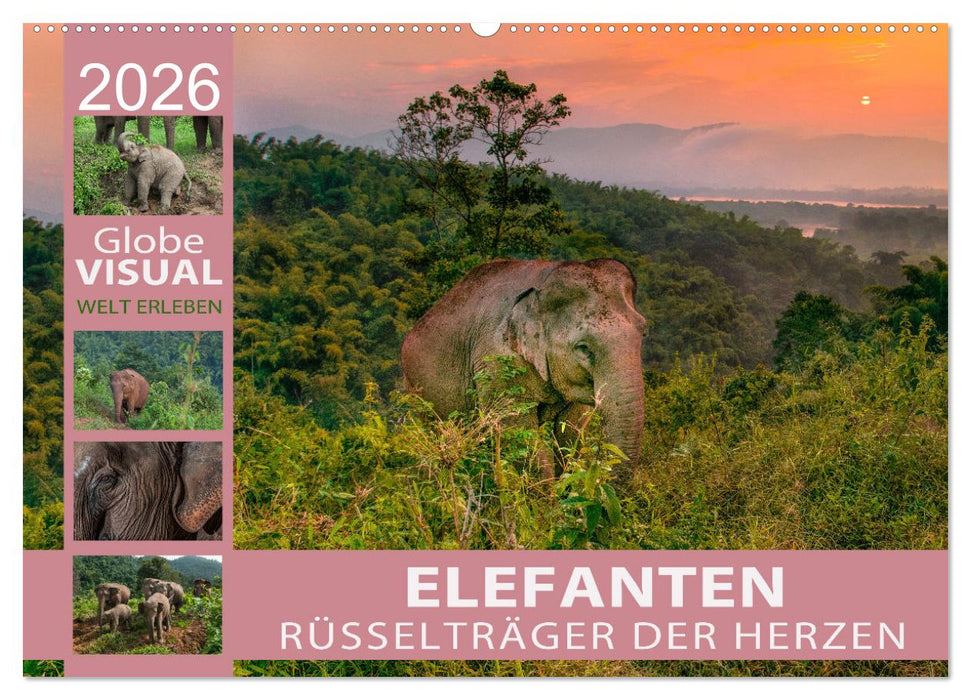 ELEFANTEN - Rüsselträger der Herzen (CALVENDO Wandkalender 2026)