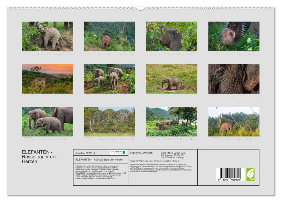 ELEFANTEN - Rüsselträger der Herzen (CALVENDO Wandkalender 2026)