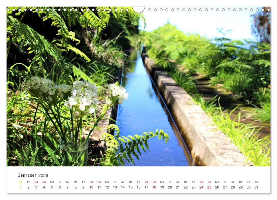 Madeira - Eine wunderschöne Perle im Atlantik (CALVENDO Wandkalender 2026)