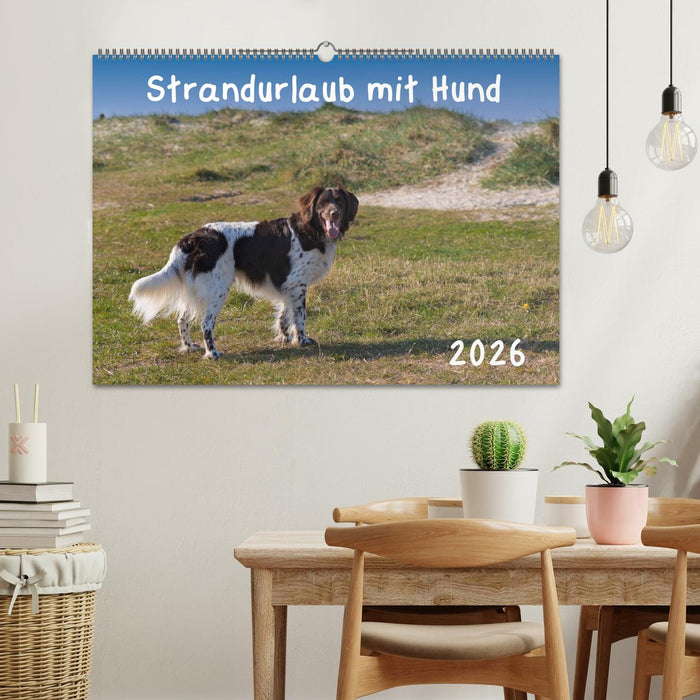 Strandurlaub mit Hund (CALVENDO Wandkalender 2026)