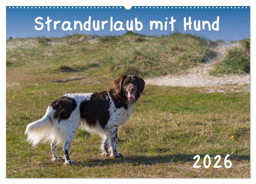 Strandurlaub mit Hund (CALVENDO Wandkalender 2026)
