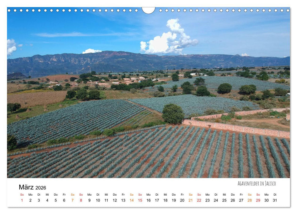 Mexiko aus der Vogelperspektive (CALVENDO Wandkalender 2026)