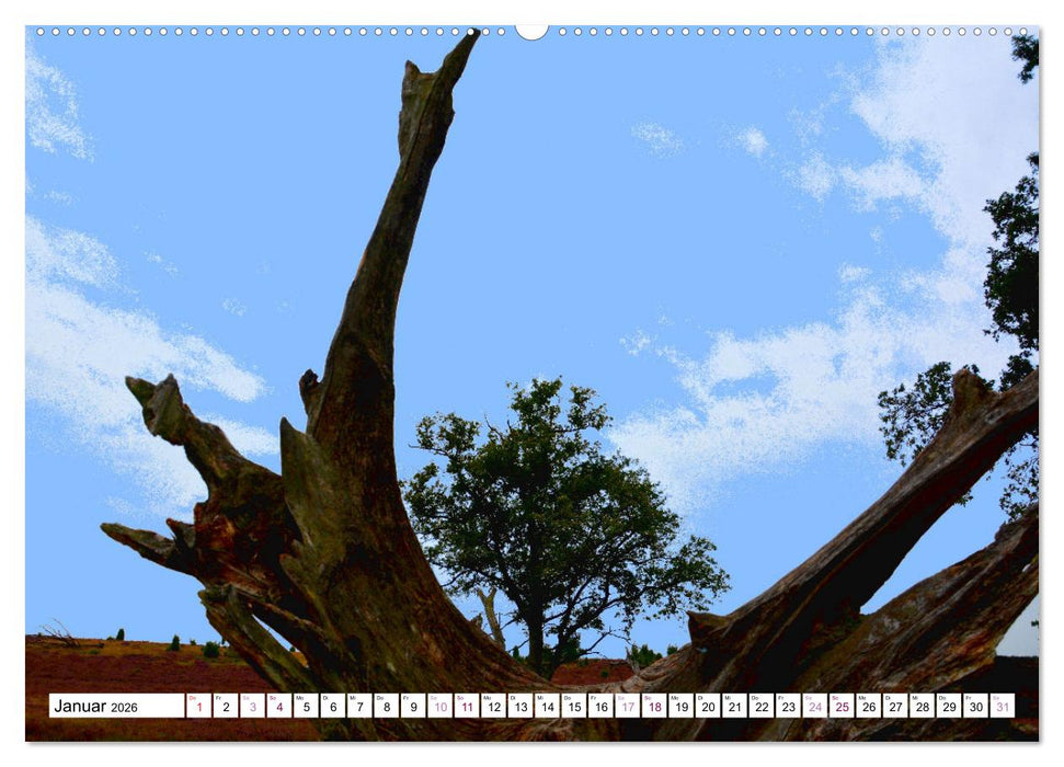 Heidelandschaft im Farbenspiel der Natur (CALVENDO Wandkalender 2026)