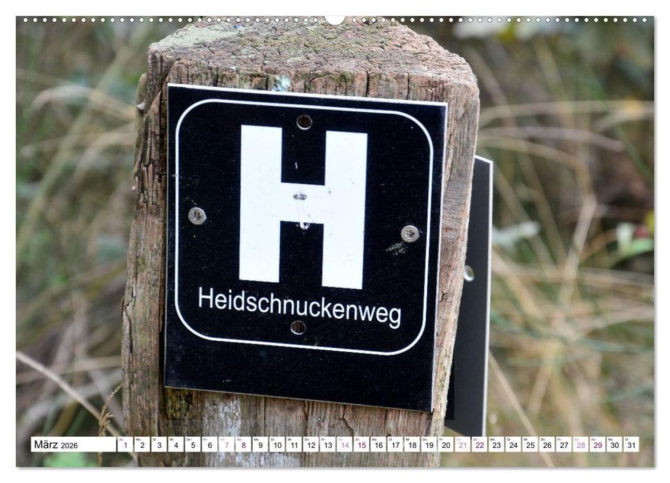 Heidelandschaft im Farbenspiel der Natur (CALVENDO Wandkalender 2026)